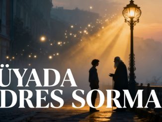 "Rüyada Adres Sormak"