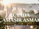 "Rüyada Çamaşır Asmak"