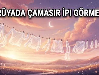"Rüyada Çamaşır İpi Görmek"