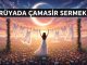 "Rüyada Çamaşır Sermek"