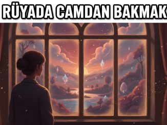 "Rüyada Camdan Bakmak"