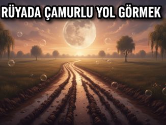"Rüyada Çamurlu Yol Görmek"
