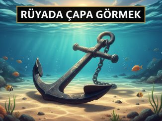 "Rüyada Çapa Görmek"