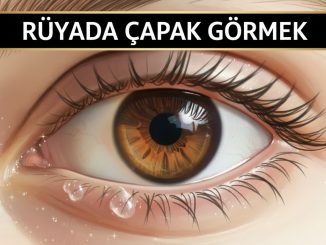 "Rüyada Çapak Görmek"