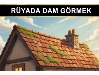 "Rüyada Dam Görmek"