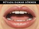 "Rüyada Damak Görmek"