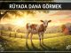 "Rüyada Dana Görmek"