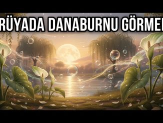 "Rüyada Danaburnu Görmek"