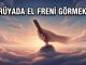"Rüyada El Freni Görmek"