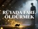 "Rüyada Fare Öldürmek"