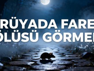 "Rüyada Fare Ölüsü Görmek"
