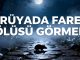 "Rüyada Fare Ölüsü Görmek"
