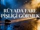 "Rüyada Fare Pisliği Görmek"