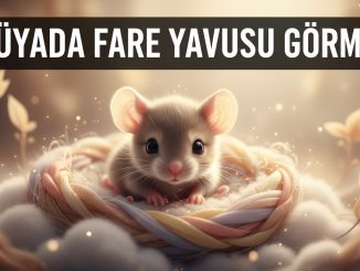 "Rüyada Fare Yavrusu Görmek"