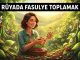"Rüyada Fasulye Toplamak"