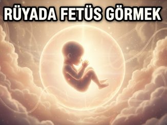 "Rüyada Fetüs Görmek"