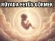 "Rüyada Fetüs Görmek"
