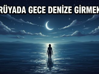 "Rüyada Gece Denize Girmek"