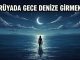 "Rüyada Gece Denize Girmek"