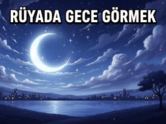 "Rüyada Gece Görmek"