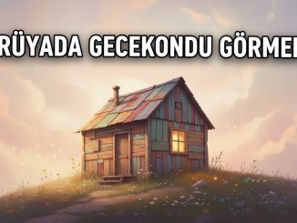 "Rüyada Gecekondu Görmek"