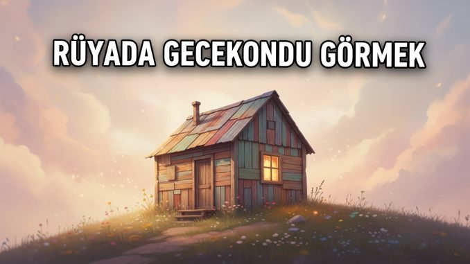 "Rüyada Gecekondu Görmek"