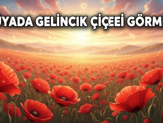 "Rüyada Gelincik Çiçeği Görmek"
