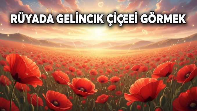 "Rüyada Gelincik Çiçeği Görmek"