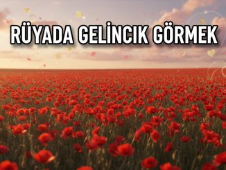 "Rüyada Gelincik Görmek"