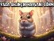 "Rüyada Gelincik Hayvanı Görmek"