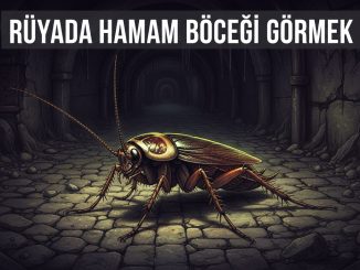 "Rüyada Hamam Böceği Görmek"