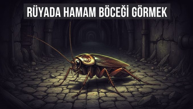 "Rüyada Hamam Böceği Görmek"
