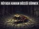 "Rüyada Hamam Böceği Görmek"