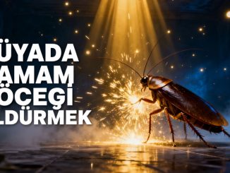 "Rüyada Hamam Böceği Öldürmek"