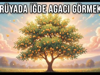 "Rüyada İğde Ağacı Görmek"