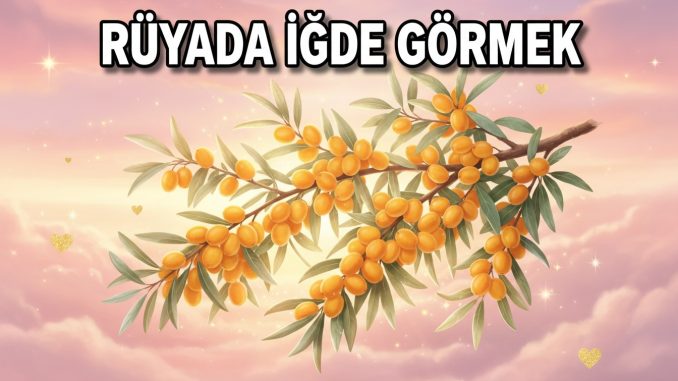 "Rüyada İğde Görmek"