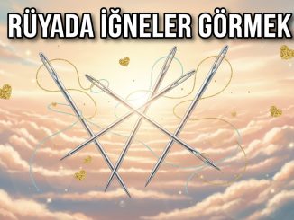 "Rüyada İğneler Görmek"