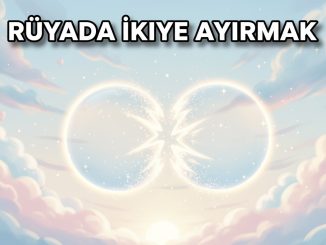 "Rüyada İkiye Ayırmak"