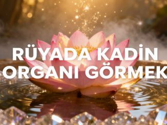 "Rüyada Kadın Organı Görmek"