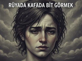 "Rüyada Kafada Bit Görmek"