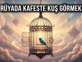 "Rüyada Kafeste Muhabbet Kuşu Görmek"