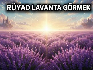 "Rüyada Lavanta Görmek"