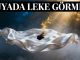 "Rüyada Leke Görmek"