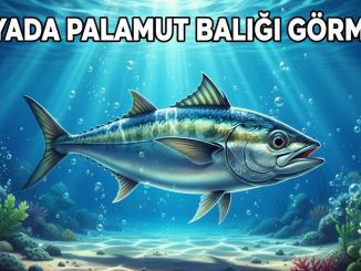 "Rüyada Palamut Balığı Görmek"