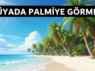 "Rüyada Palmiye Görmek"