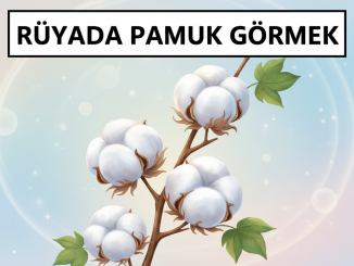 "Rüyada Pamuk Görmek"