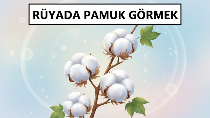 "Rüyada Pamuk Görmek"
