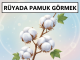 "Rüyada Pamuk Görmek"