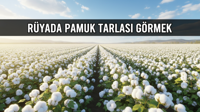 "Rüyada Pamuk Tarlası Görmek"