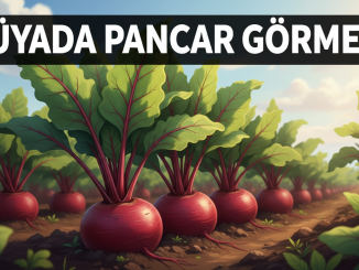 "Rüyada Pancar Görmek"